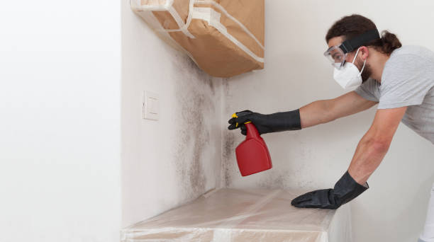Professional Mold Removal technician working in Fulton, NY